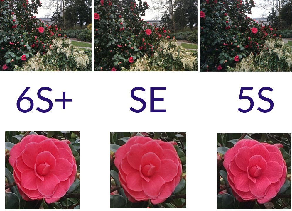 Flash rose sur iPhone : tendance ou fonctionnalité cachée ?