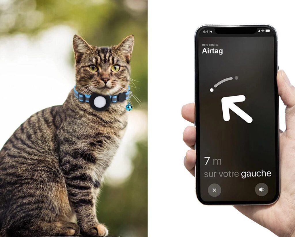Comment suivre votre chat à distance avec un AirTag ?
