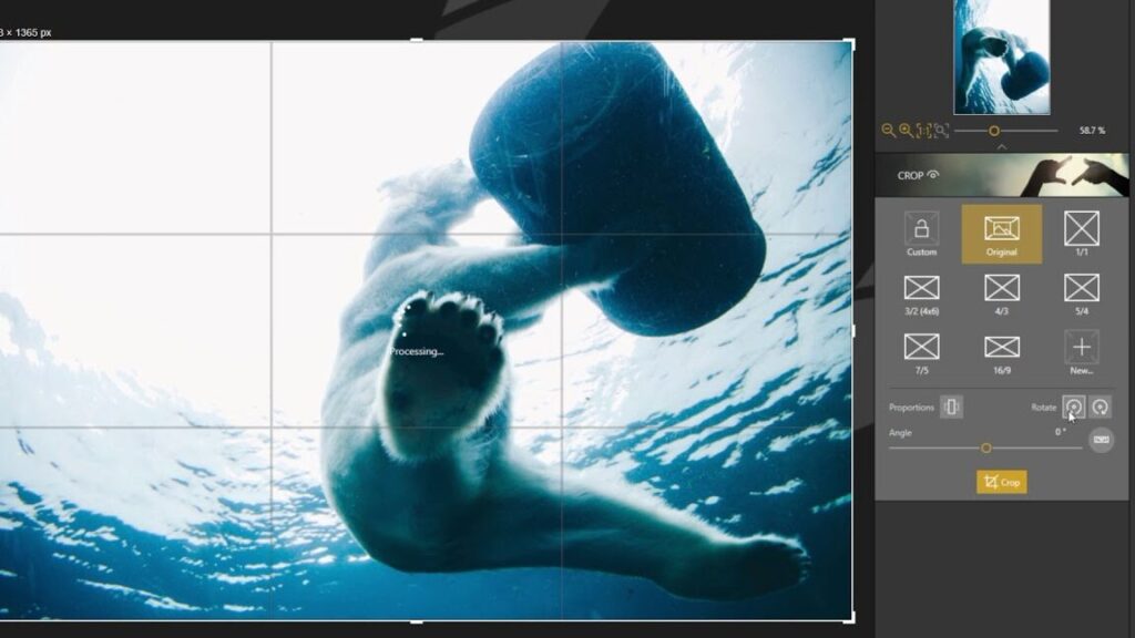 Découvrez InPixio Photo Studio : test, prix, compatibilité et alternatives