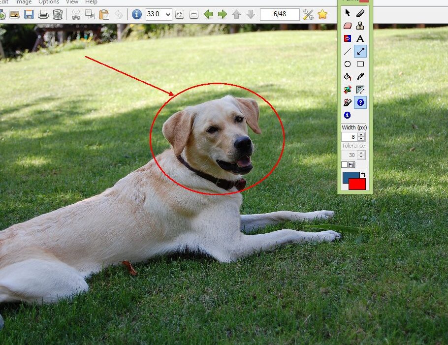 IrfanView : le logiciel de visualisation d’images et documents adapté à vos besoins
