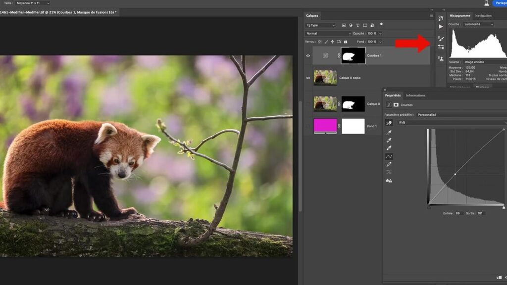 Maîtrisez les bases de Photoshop pour améliorer vos créations graphiques