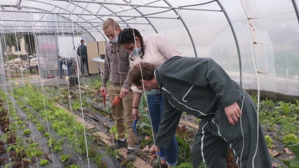 Pourquoi les formations agricoles pour adultes sont-elles essentielles ?