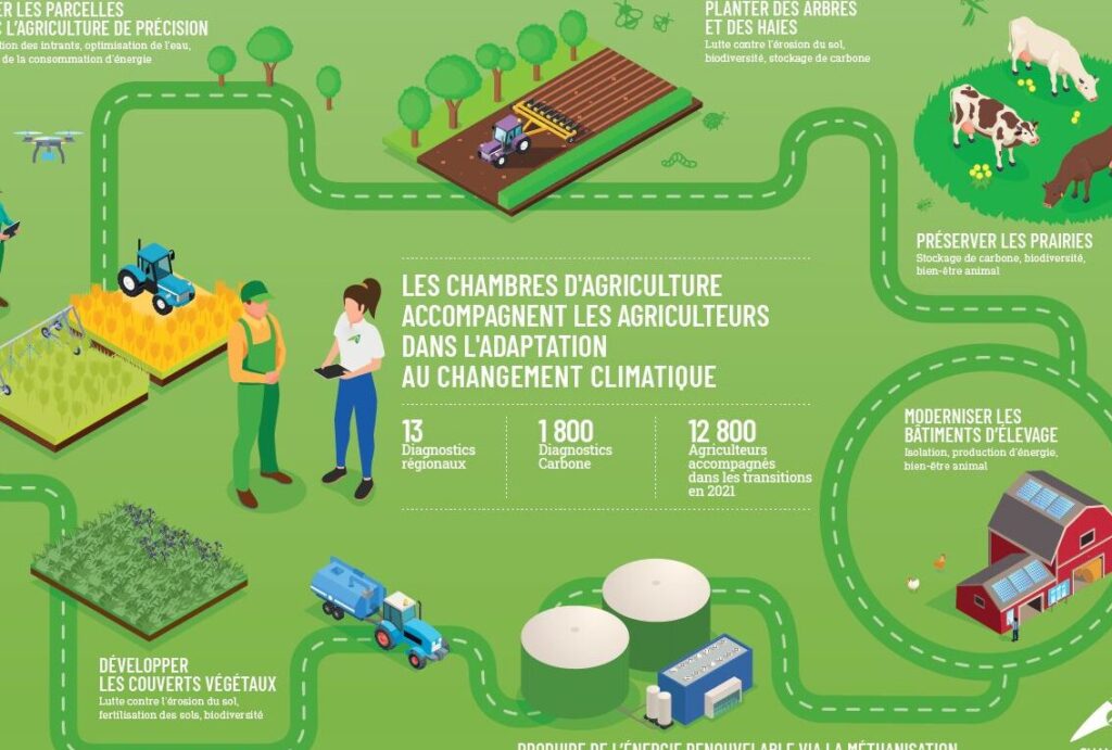 Quel est l’impact des cultures sur la formation ?