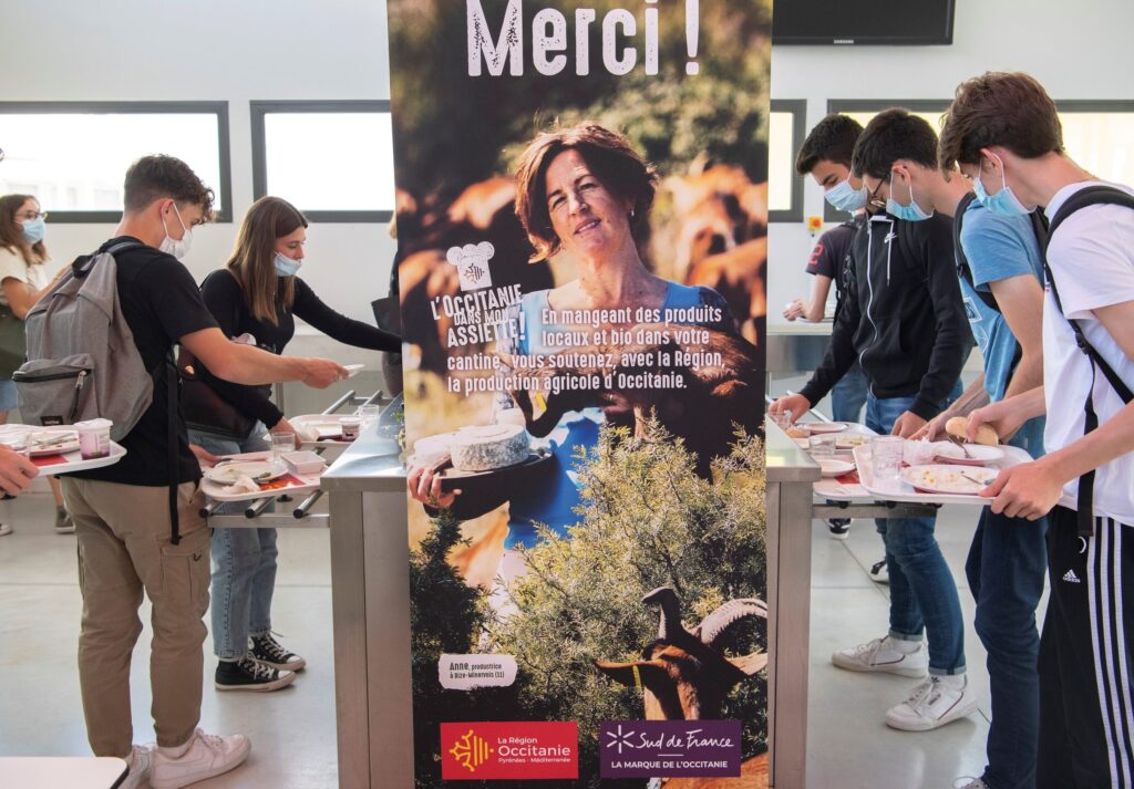 Quelle formation pour réussir dans l’Occitanie ?