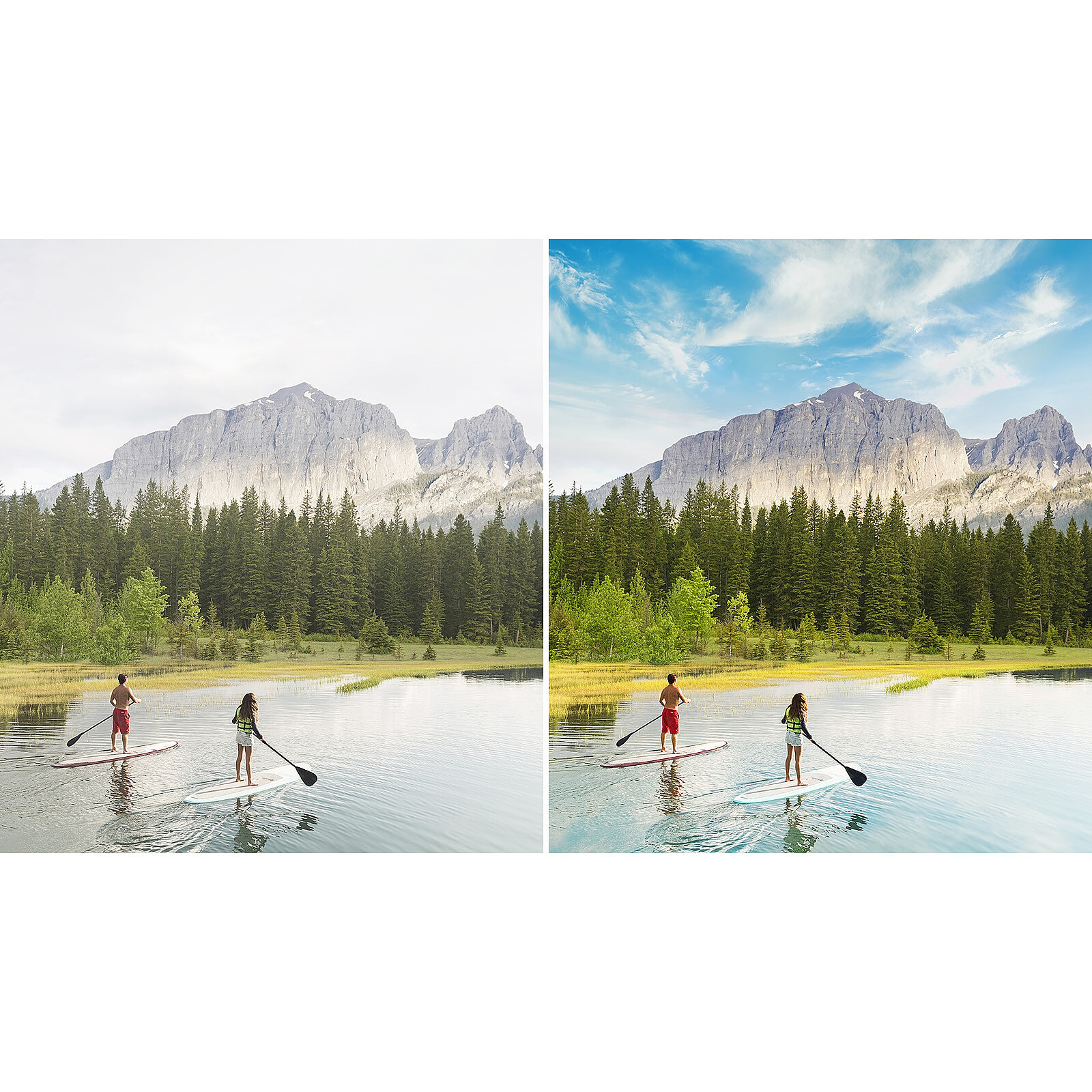 Photoshop Elements License Example