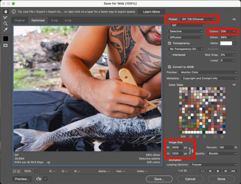 Création d'un GIF animé photo avec Photoshop pour des projets créatifs dynamiques