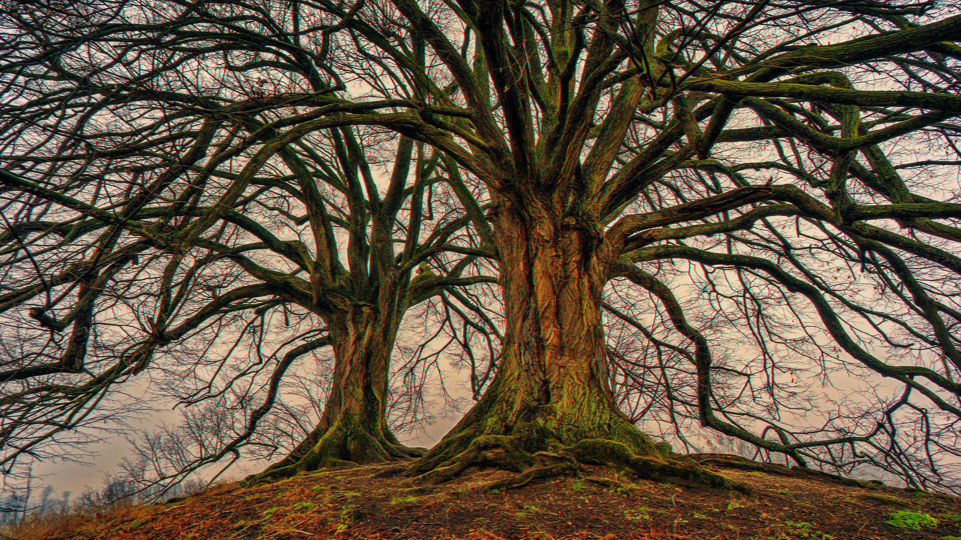 Créer un effet d'aberration chromatique dans Photoshop