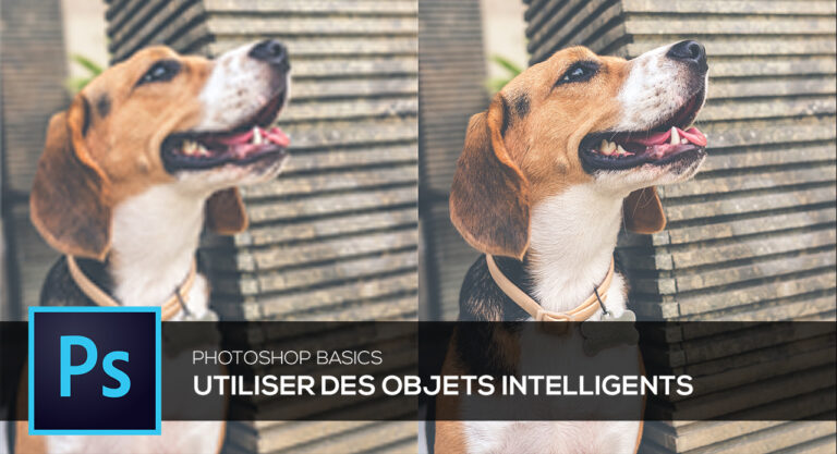 Illustration d'objets dynamiques sur Photoshop montrant des calques et des outils pour une édition non destructive