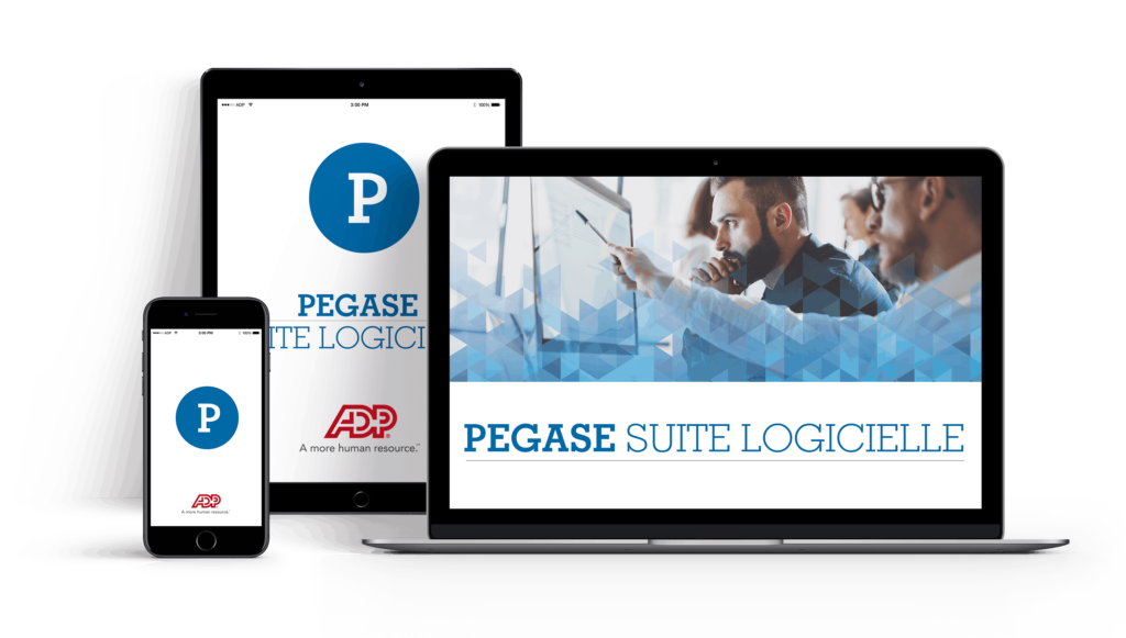 Interface utilisateur de la suite logicielle Pégase pour les entreprises et la gestion professionnelle