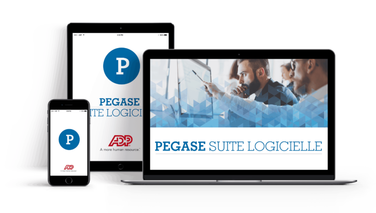 Interface utilisateur de la suite logicielle Pégase pour les entreprises et la gestion professionnelle
