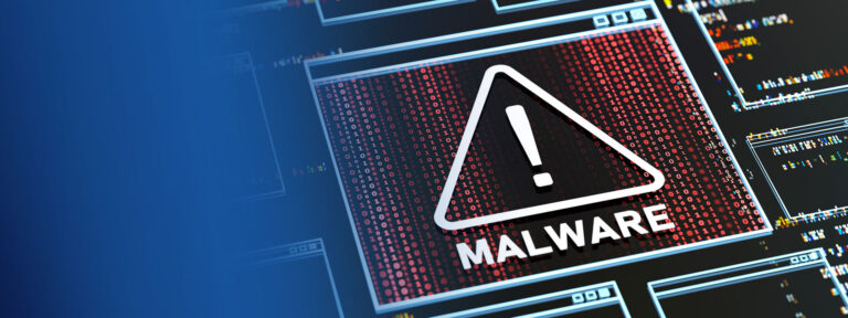 Représentation graphique des différentes catégories de logiciels malveillants