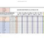 Interface d'un logiciel Excel pour gérer un concours de pétanque avec tir de précision