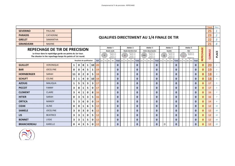 Interface d'un logiciel Excel pour gérer un concours de pétanque avec tir de précision