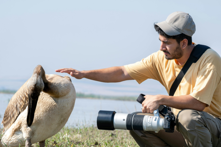 photographe animaliere