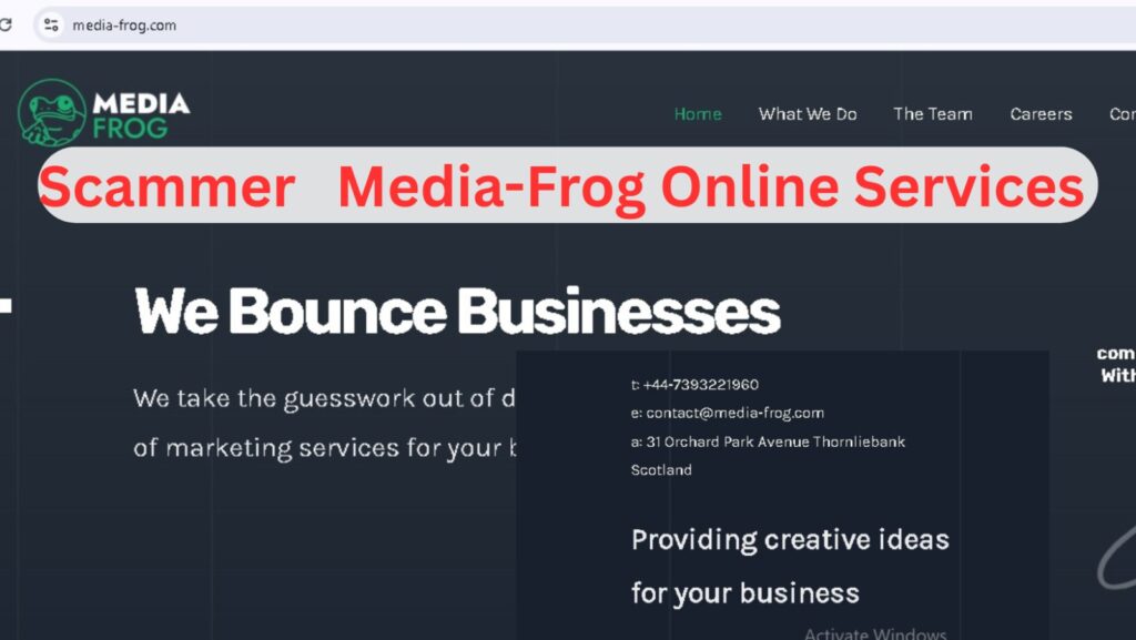 Media-Frog.com is a Scam: A Personal Warning to Website Owners and SEO Professionals