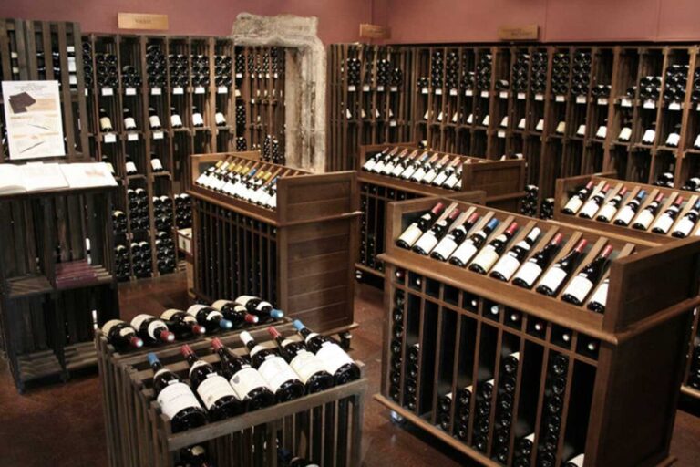 Comment bien choisir son logiciel de gestion de cave à vin?